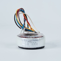 Amplificateur à tubes audio Transformateur toroïdal multi-prises Transformateur audio abaisseur