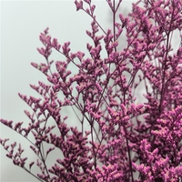 LUYI-Gedroogde Natuurlijke Bloemen Groothandel Caspia Misty Limonium Gedroogde Limonium Bloemen Gras Gedroogde Bloemen
