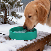 Bol à eau chauffant électrique pour animaux de compagnie, pour chien et chat, pour l'extérieur, pour l'hiver, pour l'eau froide