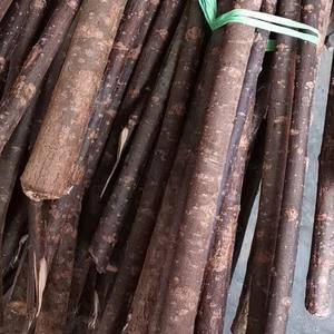 ที่กำหนดเองไม้เนื้อแข็งติดธรรมชาติต้นไม้ขนาดเล็กสาขา DIY งานฝีมือไม้ตกแต่ง - Product Image 4