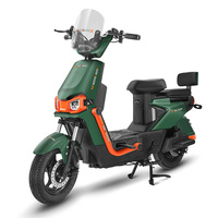 Vélo électrique adulte à 2 roues, 500W 48V, moteur roue arrière, longue autonomie, léger, pour la ville et les parcs