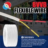 Câble gainé isolé en PVC à noyau de cuivre plat BVVB 450/750V à 2 conducteurs 1.5-4mm ²