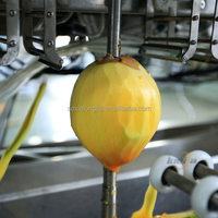 XINLONGJIA Éplucheur de mangue verte de fruits commerciaux