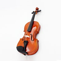 Violin for Beginners Kids & Adults Full Size Fiddle With Bow Rosin Carrying Case Solid Wood Instrument Violino