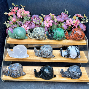 Kindfull, gran oferta, cristales naturales de alta calidad, mezcla de materiales, <span class=keywords><strong>caracol</strong></span> con calaveras para Decoración - Product Image 4