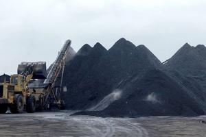 Coke de pétrole vert de qualité carburant, haute valeur calorifique 8500 kcal/kg, faible teneur en cendres, combustible industriel pour fours à ciment et centrales électriques - Product Image 2