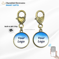 Pendentif NFC, chaîne en métal, porte-clés, élégant, étiquette intelligente 13,56 MHz, RFID, cadeau, étiquette d'entreprise OEM/ODM, contrôle d'accès