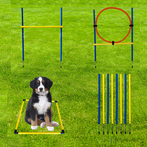 Équipement d'entraînement d'agilité <span class=keywords><strong>pour</strong></span> <span class=keywords><strong>chien</strong></span> Kingtale Kit de démarrage <span class=keywords><strong>pour</strong></span> parcours d'obstacles Jeu d'intérieur et d'extérieur - Product Image 1