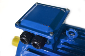 Motor de inducción de CA profesional de 7.5kW, 55kW, 75kW, 150kW, 200kW, 3000W, 15000W, 11000W, 22000W, 2HP, 3HP, 10HP, 15HP, 20HP, 100HP - Product Image 3