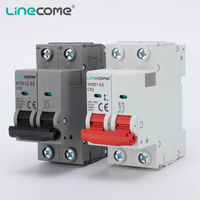 Disyuntor en miniatura de 1000V CC Montaje en riel Din de cobre MCB para uso comercial e industrial Voltaje nominal 250V