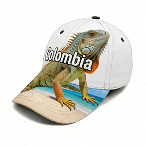 <span class=keywords><strong>Gorra</strong></span> de Béisbol Bordada con Logotipo Personalizado al por Mayor, Recuerdos Turísticos de <span class=keywords><strong>Colombia</strong></span>, Perfil Bajo, Ajuste Flexible - Product Image 4