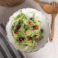 Ensemble de vaisselle en mélamine jetable durable et écologique personnalisable plat de bol de mélange de salade de motif solide rustique blanc