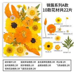 22-25 pièces/paquet, fleurs séchées pressées de la série JC, combinaison pour cadre photo en résine, <span class=keywords><strong>plante</strong></span> naturelle, Saint-Valentin, Pâques - Product Image 2