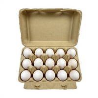 Barquettes à œufs biodégradables en pulpe de 15 alvéoles, carton à œufs antichoc, emballage recyclable pour le transport et le stockage