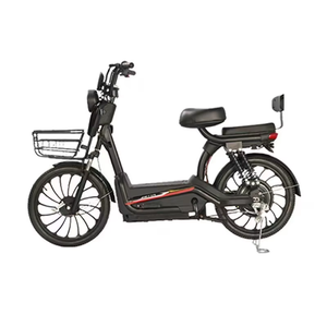 Bicicleta Eléctrica Compacta con Asiento Trasero y Respaldo, Canasta Delantera, Motor en el Buje, Características Electrónicas para Adultos, para Desplazamientos Diarios, Zxc-293 L - Product Image 5