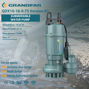 Pompe submersible automatique GRANDFAR 220V 750W 1HP en fonte, haute performance, économique, pour eau propre, modèle QDX10-16-0.75 - Product Image 1