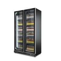 Réfrigérateur de Bar à Double porte, vitrine Sub Zero, réfrigérateur de bière, congélateur Commercial