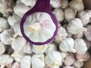 Ajo Blanco Congelado de China, Ajo Individual de Grado Alimenticio, Mayorista de Vegetales, Distribuidor de Ajo Chino, Proveedor de Exportación - Product Image 2