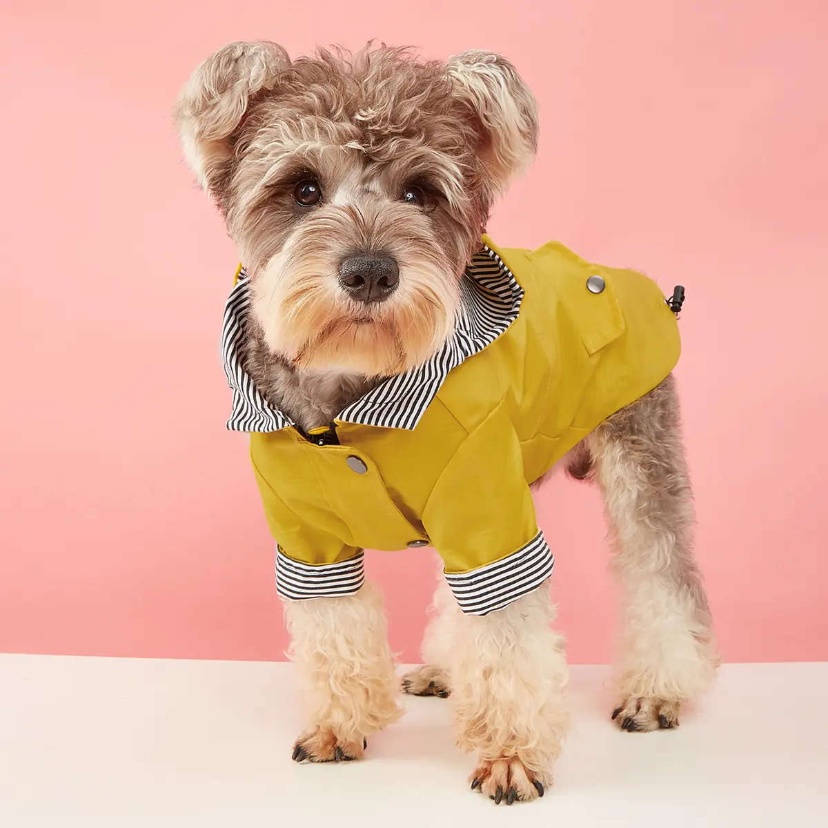 Sudadera con capucha para perros Moda de invierno Abrigo para perros Chaqueta cálida para perros Chaqueta impermeable para mascotas Ropa