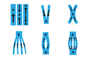 5cm * 25cm 2x16.4ft <span class=keywords><strong>Kt</strong></span> <span class=keywords><strong>Tape</strong></span> Pré-découpé Kinésiologie Bande Épaule/<span class=keywords><strong>cheville</strong></span>/coude - Product Image 3