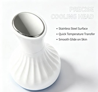 Marteau à glace double tête en acier inoxydable BINZIM avec prise US pour le visage, le corps, les jambes/bras, le rajeunissement de la peau et le soin des yeux