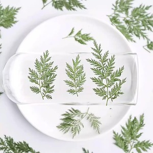 Artemisia Annua <span class=keywords><strong>Pine</strong></span> Natural Real Flower Espécimen en relieve Pegamento Funda para teléfono Marco DE FOTOS Nail Art - Product Image 3