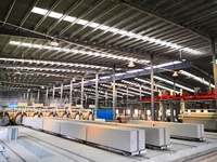 Machine de fabrication de briques AAC entièrement automatique Cendres volantes Usine AAC Ligne de production de blocs de béton cellulaire autoclavés