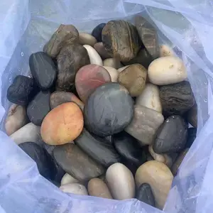 High Polished Mixed Color Pebble Stone For Garden Decoration