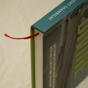 Impression de livres à couverture rigide personnalisée de qualité supérieure, avec dorure à chaud, reliure cousue, gaufrage/débossage et pelliculage, best-seller - Product Image 5