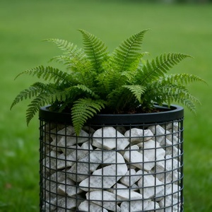 Gabion en fil de fer galvanisé, matelas en treillis soudé, jardinière, pots de fleurs pour aménagement extérieur - Product Image 4