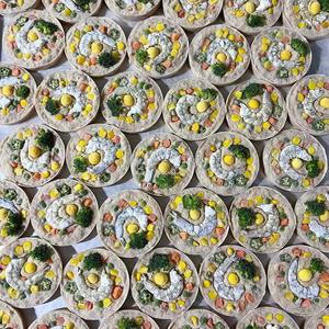 हस्तनिर्मित अनुकूलित फ्रीज-सूखे पालतू जानवरों का इलाज करता है गोमांस कुत्ते बिल्ली स्नैक्स पिज्जा फल समुद्री बकरी दूध का वजन गाल मांस - Product Image 5