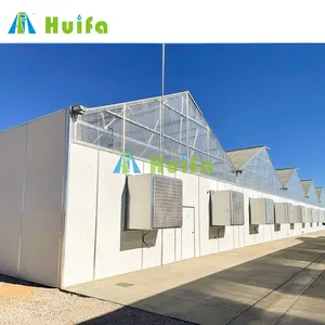 Túnel comercial luz de privacidade verde casa totalmente automática tecido blackout policarbonato greenhouse