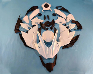 Kit de carénage de moto de rechange blanc brillant pour <span class=keywords><strong>Kawasaki</strong></span> <span class=keywords><strong>Ninja</strong></span> <span class=keywords><strong>H2</strong></span> 2015 2016 2017 2018 2019 <span class=keywords><strong>2020</strong></span> 2021 2022 <span class=keywords><strong>H2</strong></span> 15-22 - Product Image 1