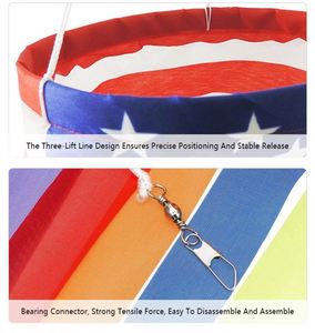 Custom Design All Country National Day Beautiful Wind <b>Sock</b> Carp Flags - Product Image 5