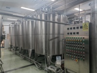 China Fabriek Commerciële Fruit & Groentesap Maken Machine Mango Juicer Extractor Met Vers Fruit Motor Proces Lijn