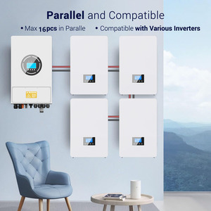 Batería de Almacenamiento de Energía Montada en Pared de 5Kwh 10Kwh 15kwh 100Ah 48V Solar para Sistema Doméstico - Product Image 3