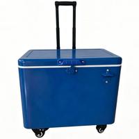 Chariot isotherme roulant personnalisé 40L/50L, glacière métallique avec roues et poignée de traction pour l'extérieur