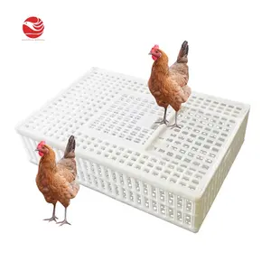 Large capacity center sliding door 900*600*230mm Plastic Live Chicken Broiler Transport Crate / Coop