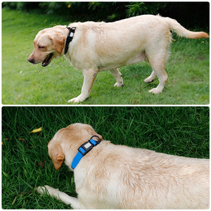 PVC wasserdichtes Hunde halsband Weiche verstellbare Haustier halskette für kleine, mittlere und große Hunde und Katzen - Product Image 5
