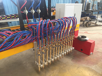 Machine de découpe de gaz oxygène à flamme plasma CNC à têtes multiples pour le métal