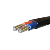 Chine hochwertiges 70 mm2 konzentrisches XLPE-isoliertes Stromkabel XLPE-Aluminium kabel