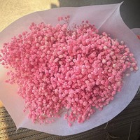 Bunga Baby's Breath Awet Alami Grosir, Bunga Gypsophila Abadi untuk Dekorasi Pernikahan