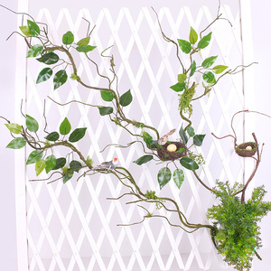 <span class=keywords><strong>Liane</strong></span> artificielle flexible en rotin pour reptiles, <span class=keywords><strong>plante</strong></span> grimpante, décoration de jardin extérieur, <span class=keywords><strong>liane</strong></span> de mousse pour Noël et remise des diplômes - Product Image 4