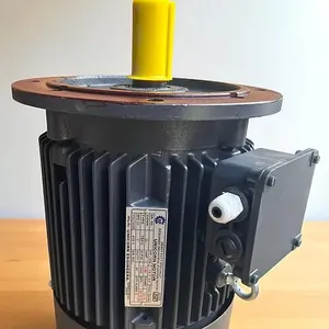 Motor Eléctrico de Montaje Vertical con Brida, de Alta Resistencia, Industrial, de Inducción, con Eje de Accionamiento Superior para Aplicaciones en Fábricas - Product Image 2