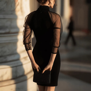 Vestido Elegante de Manga Larga con Cuello Alto y Malla Transparente, Estilo Europeo y Estadounidense, Nueva Moda Transfronteriza - Product Image 1