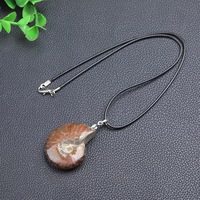 Cristal naturel Madagascar tacheté escargot fossile pendentif chrysanthème spécimen minéral coquille collier modèle en pierre