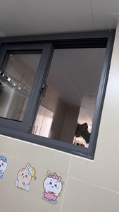 Fenêtre moderne à <span class=keywords><strong>double</strong></span> <span class=keywords><strong>vitrage</strong></span> avec cadre en PVC et alliage d'aluminium, à glissière horizontale et moustiquaire magnétique, résistante au vent, pour villa et appartement - Product Image 5