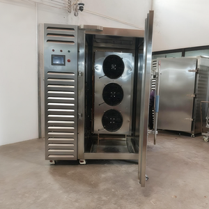 Di grandi dimensioni Rapido Congelamento di <span class=keywords><strong>Pasta</strong></span>/<span class=keywords><strong>Pizza</strong></span>/cibi Cotti Esplosione Refrigeratore Congelatore - Product Image 2