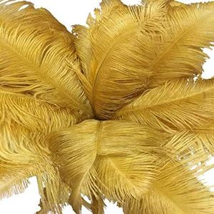 Plumes d'autruche en gros pour décorations de mariage - Product Image 1