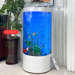 Luz de luxo de estilo europeu de tamanho médio doméstico aquário ecológico semi-circular chão-a-teto vidro mudança de água peixe - Product Image 6